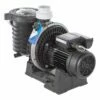 Pompe Pentair La Sta Rite HD Compatible Eau Salée -Piscine Soldes 2024 pompe pentair la sta rite hd compatible eau salee
